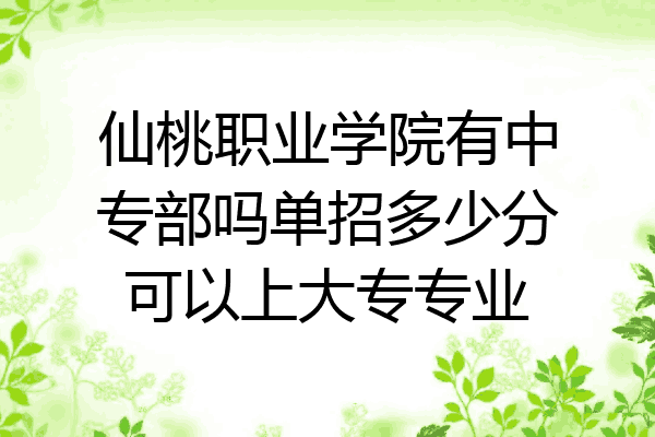 仙桃职业学院有中专部吗单招多少分可以上大专专业