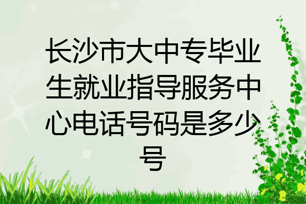 长沙市大中专毕业生就业指导服务中心电话号码是多少号