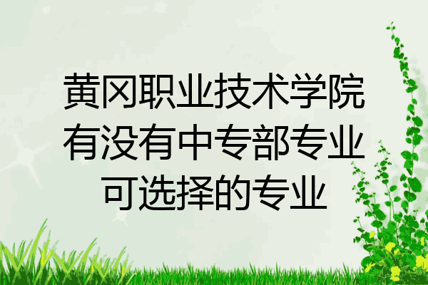 黄冈职业技术学院有没有中专部专业可选择的专业
