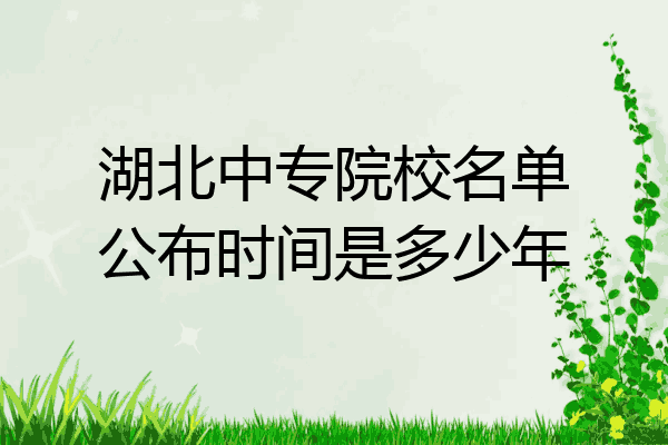 湖北中专院校名单公布时间是多少年
