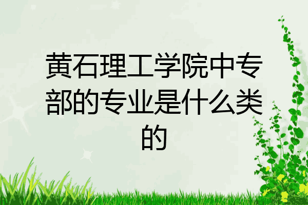 黄石理工学院中专部的专业是什么类的