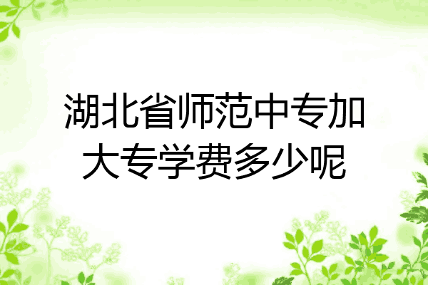 湖北省师范中专加大专学费多少呢