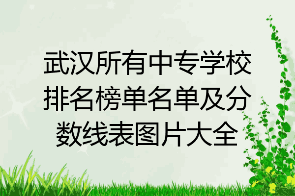 武汉所有中专学校排名榜单名单及分数线表图片大全