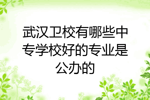 武汉卫校有哪些中专学校好的专业是公办的