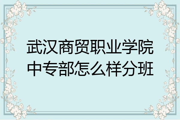 武汉商贸职业学院中专部怎么样分班