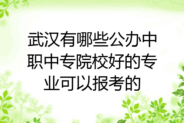 武汉有哪些公办中职中专院校好的专业可以报考的