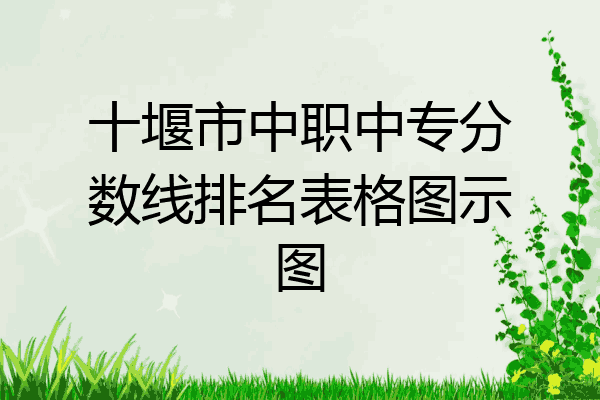 十堰市中职中专分数线排名表格图示图