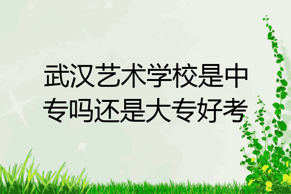 武汉艺术学校是中专吗还是大专好考