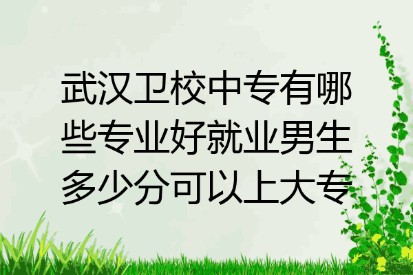 武汉卫校中专有哪些专业好就业男生多少分可以上大专