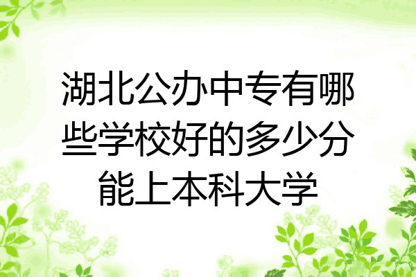 湖北公办中专有哪些学校好的多少分能上本科大学
