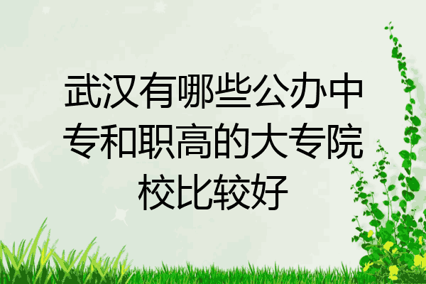 武汉有哪些公办中专和职高的大专院校比较好