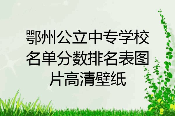 鄂州公立中专学校名单分数排名表图片高清壁纸