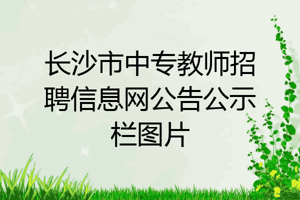 长沙市中专教师招聘信息网公告公示栏图片