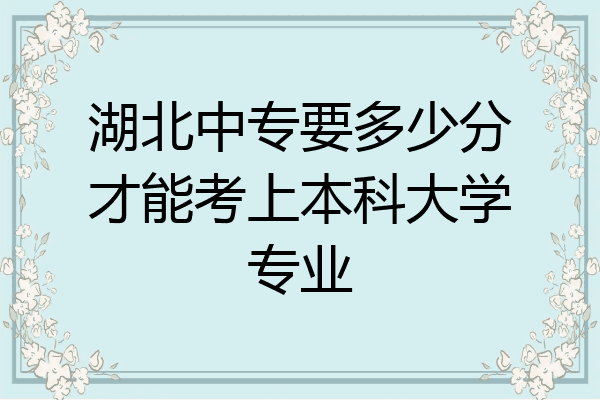 湖北中专要多少分才能考上本科大学专业