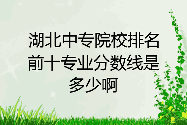 湖北中专院校排名前十专业分数线是多少啊