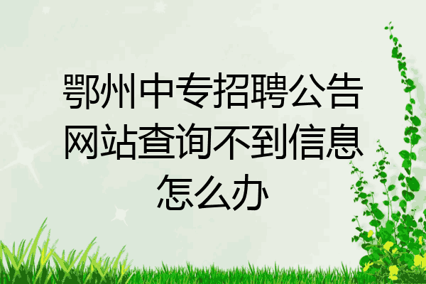 鄂州中专招聘公告网站查询不到信息怎么办