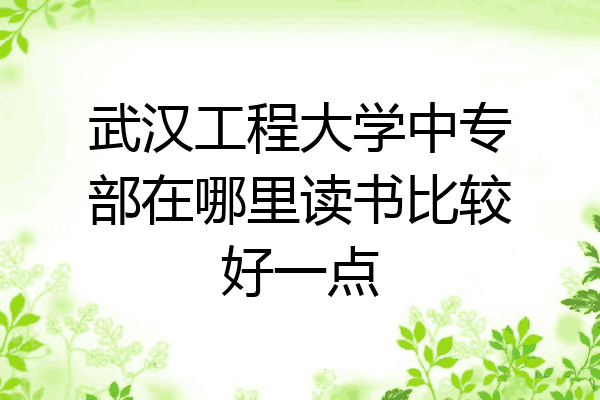 武汉工程大学中专部在哪里读书比较好一点