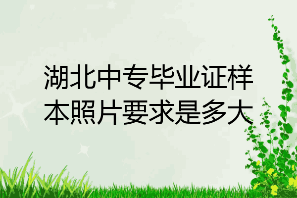 湖北中专毕业证样本照片要求是多大