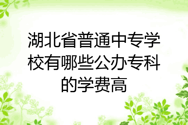 湖北省普通中专学校有哪些公办专科的学费高