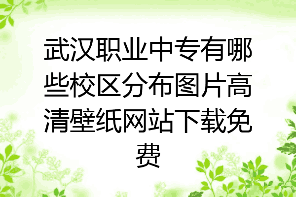 武汉职业中专有哪些校区分布图片高清壁纸网站下载免费