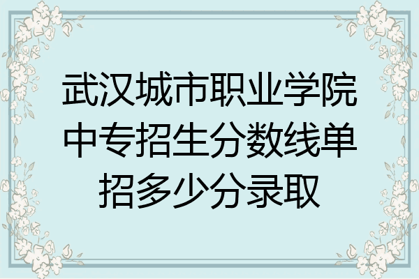 武汉城市职业学院中专招生分数线单招多少分录取
