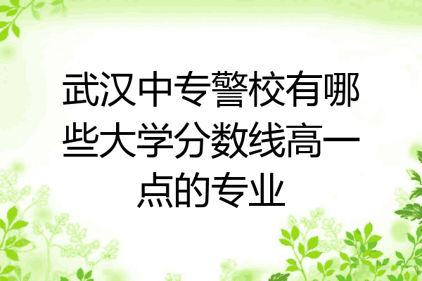 武汉中专警校有哪些大学分数线高一点的专业