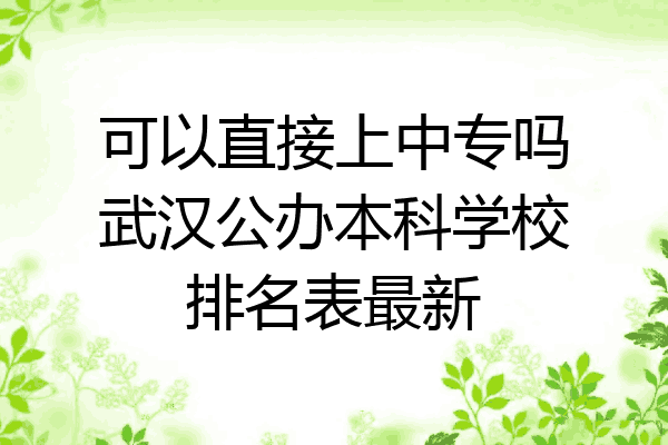 可以直接上中专吗武汉公办本科学校排名表最新