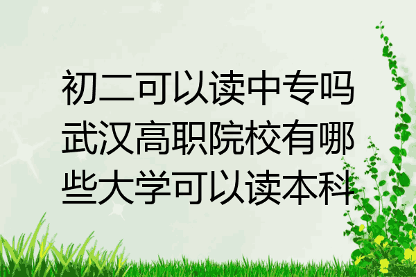 初二可以读中专吗武汉高职院校有哪些大学可以读本科