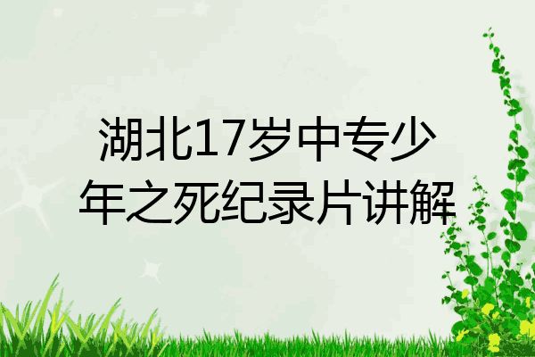湖北17岁中专少年之死纪录片讲解