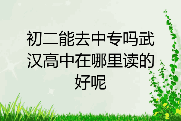 初二能去中专吗武汉高中在哪里读的好呢