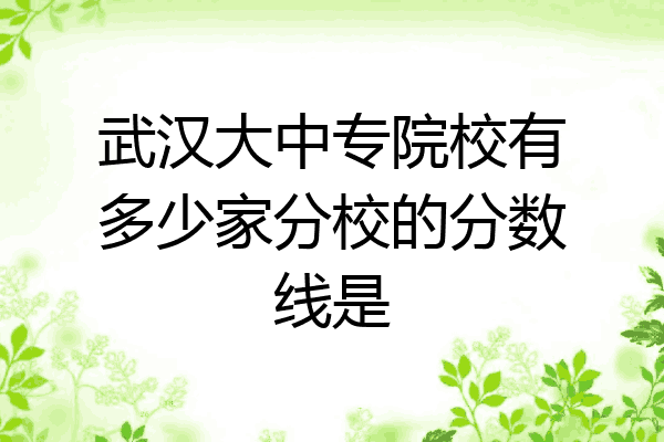 武汉大中专院校有多少家分校的分数线是