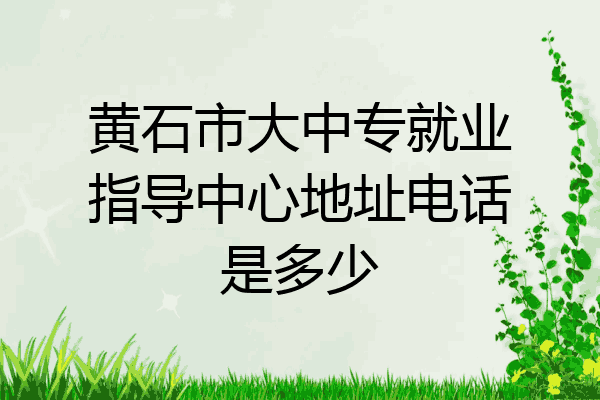 黄石市大中专就业指导中心地址电话是多少