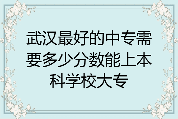 武汉最好的中专需要多少分数能上本科学校大专