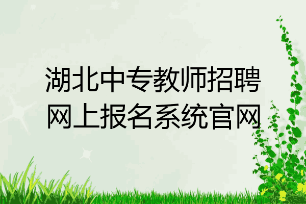 湖北中专教师招聘网上报名系统官网
