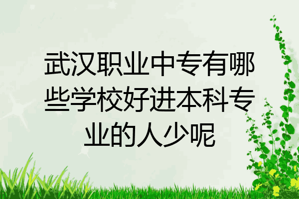 武汉职业中专有哪些学校好进本科专业的人少呢