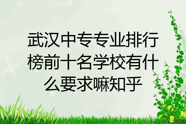 武汉中专专业排行榜前十名学校有什么要求嘛知乎