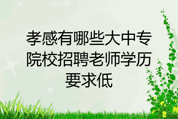 孝感有哪些大中专院校招聘老师学历要求低