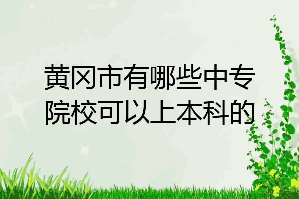 黄冈市有哪些中专院校可以上本科的