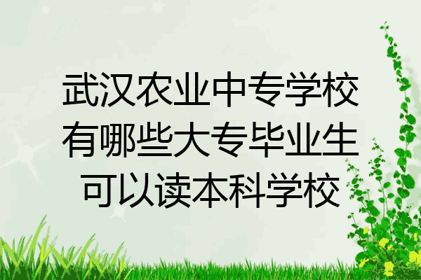 武汉农业中专学校有哪些大专毕业生可以读本科学校