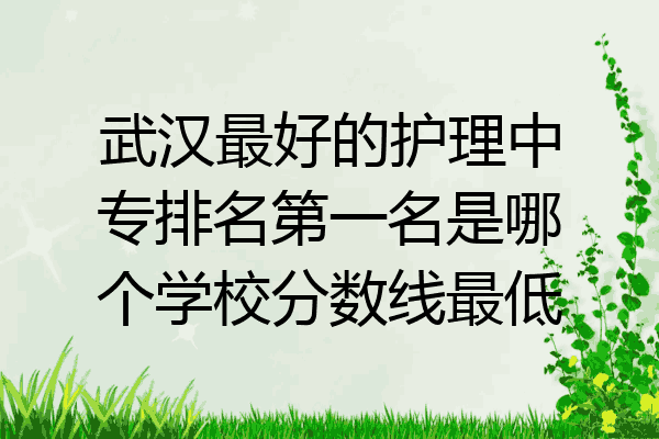 武汉最好的护理中专排名第一名是哪个学校分数线最低