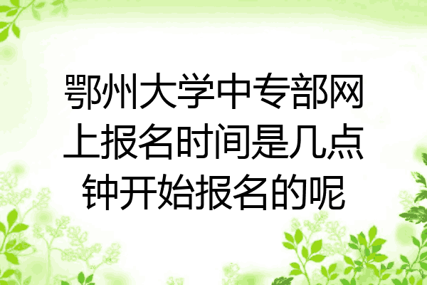 鄂州大学中专部网上报名时间是几点钟开始报名的呢