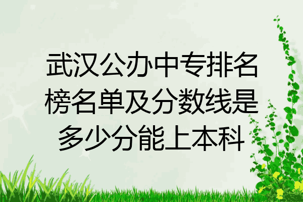 武汉公办中专排名榜名单及分数线是多少分能上本科