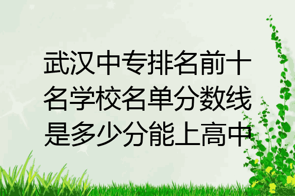 武汉中专排名前十名学校名单分数线是多少分能上高中