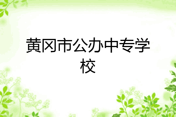 黄冈市公办中专学校