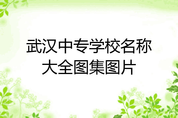 武汉中专学校名称大全图集图片