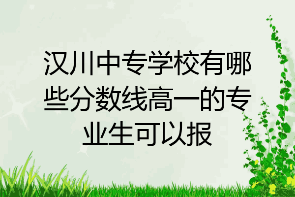 汉川中专学校有哪些分数线高一的专业生可以报
