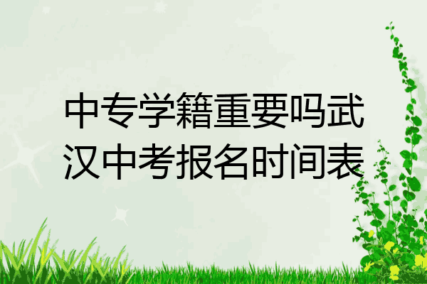 中专学籍重要吗武汉中考报名时间表