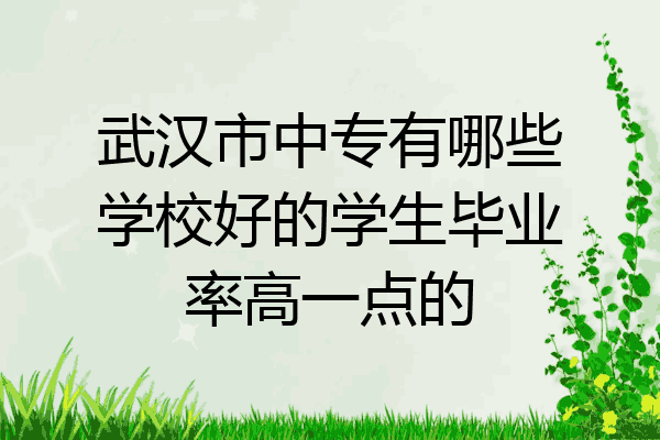 武汉市中专有哪些学校好的学生毕业率高一点的