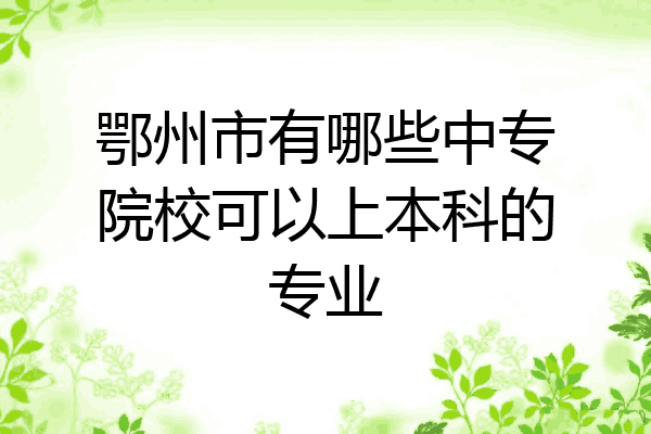 鄂州市有哪些中专院校可以上本科的专业