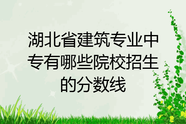 湖北省建筑专业中专有哪些院校招生的分数线
